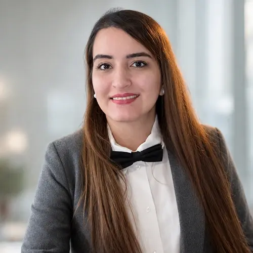 مانا گودرزی