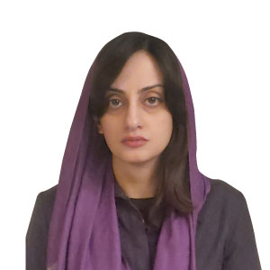 الاله وزیری